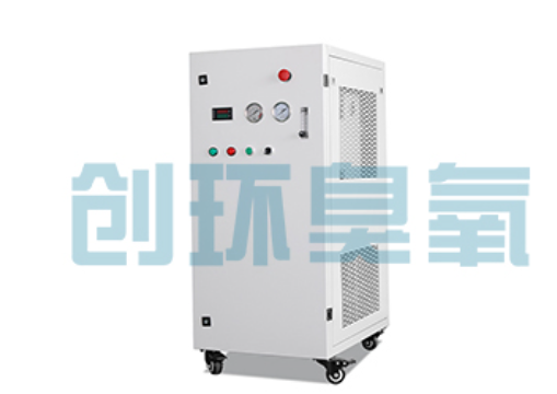 武清石斑鱼养殖水质调控完整指南：臭氧发生器配置与操作步骤