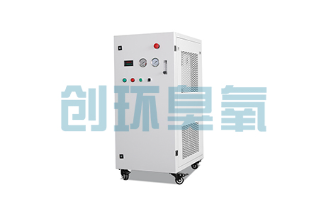 武清比传统换水更高效？臭氧发生器在石斑鱼养殖中的水质净化原理解析