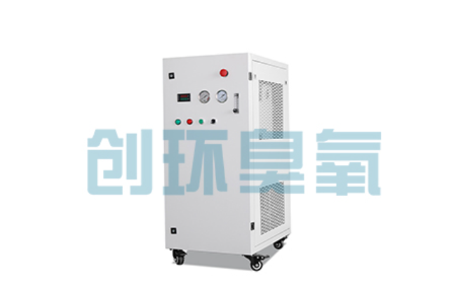 武清比传统换水更高效?臭氧发生器在石斑鱼养殖中的水质净化原理解析